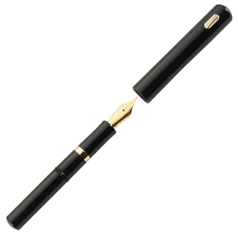 DD POCKET Gold Plated Trims Fountain Pen