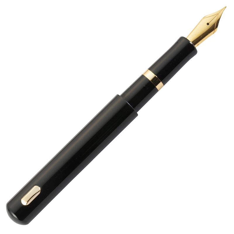 DD POCKET Gold Plated Trims Fountain Pen