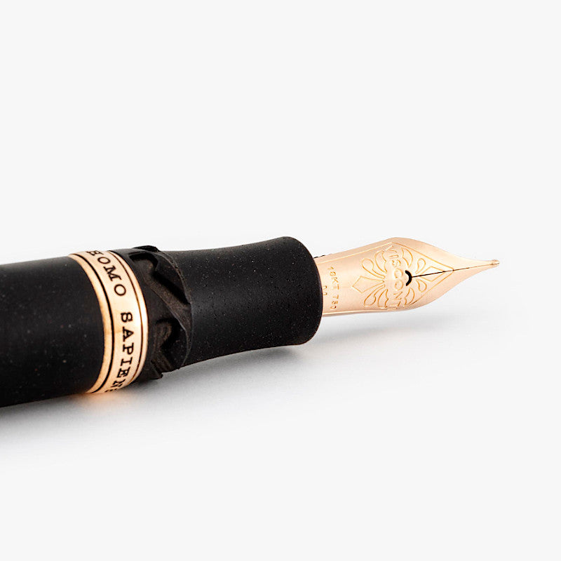 Visconti Homo Sapiens Lava Over Bronze, Solid Gold 18k EF Nib