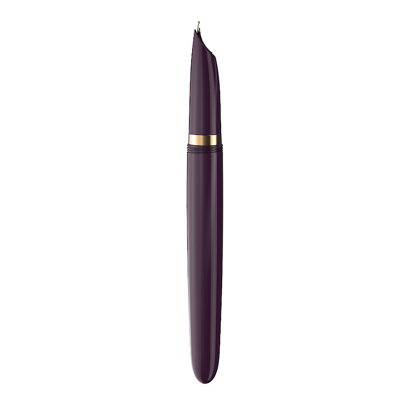 Parker 51 Deluxe Plum GT 18k Nib